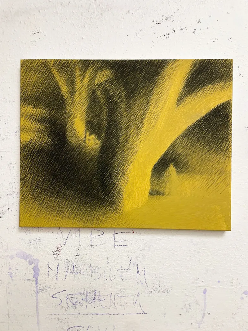 Bez názvu - akryl - 50x40 cm